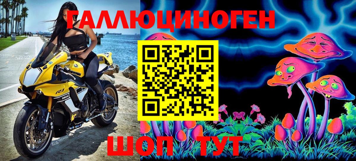 Псилоцибиновые грибы Cubensis Стрежевой
